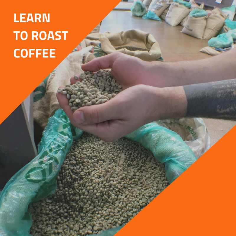 Course: Introduction to coffee roasting in Sydney