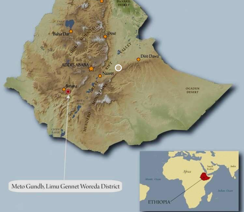 Ethiopian Limu growing area